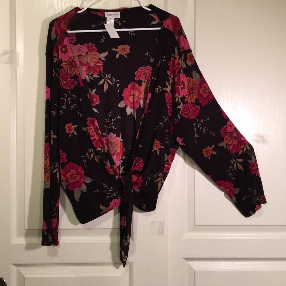 Gorgeous rich colored light jacket